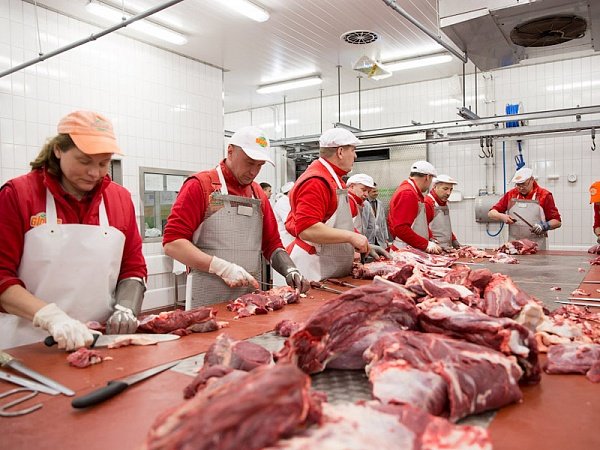 Оборудование для мясного цеха ресторана
